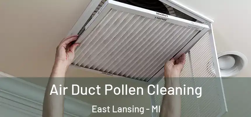  Air Duct Pollen Cleaning East Lansing - MI