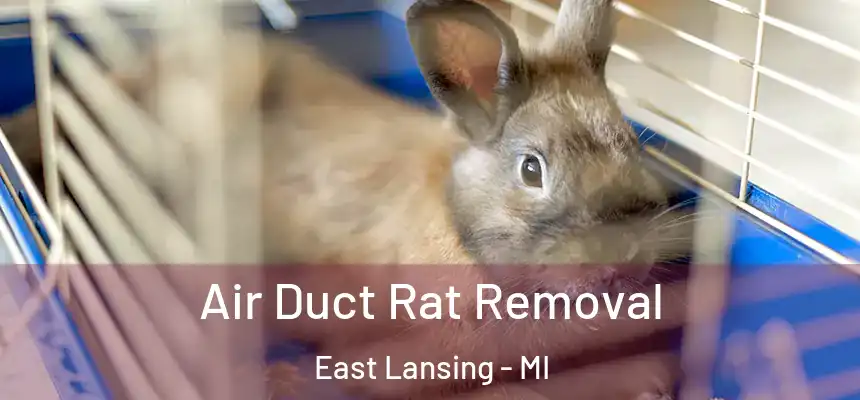  Air Duct Rat Removal East Lansing - MI