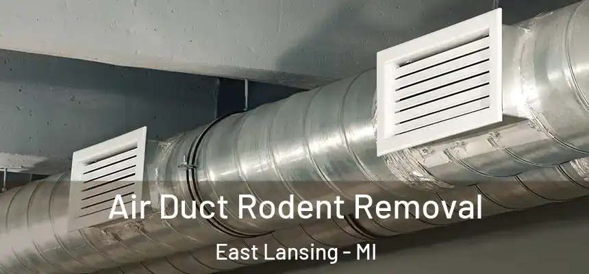  Air Duct Rodent Removal East Lansing - MI