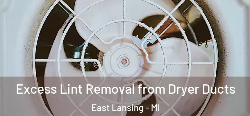 Excess Lint Removal from Dryer Ducts East Lansing - MI