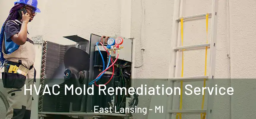  HVAC Mold Remediation Service East Lansing - MI