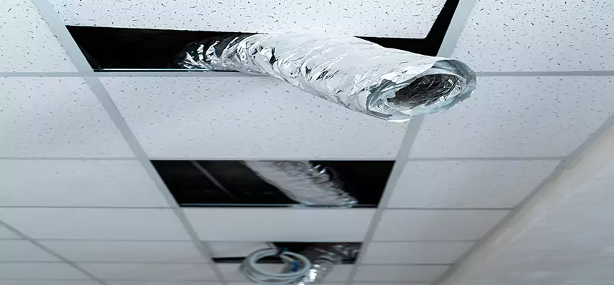 Affordable HVAC Sanitizing After Pest Removal in East Lansing