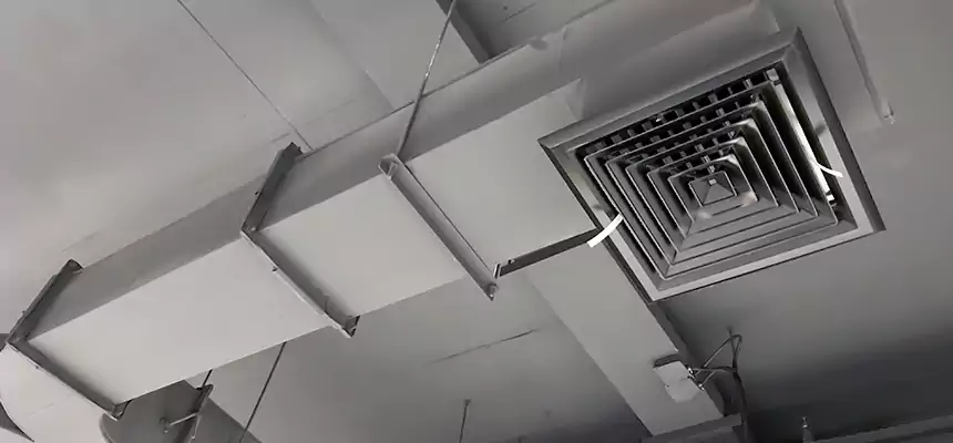 Restorative Allergy Relief Vent Cleaning – Coil, Blower & Housing Detail in East Lansing