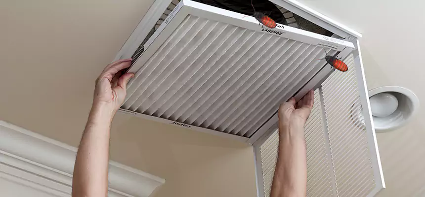 Our Insect Removal from Air Ducts Services in East Lansing, MI