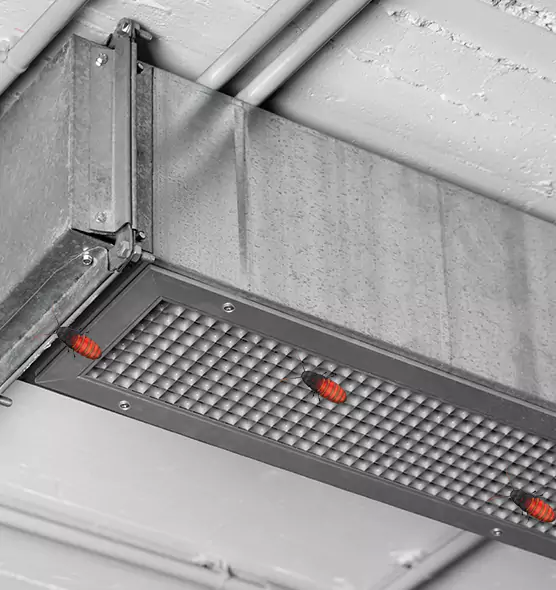 About Air Duct Cockroach Removal in East Lansing, MI