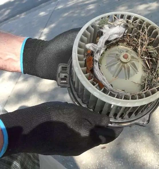 About Air Duct Mice Removal in East Lansing, MI