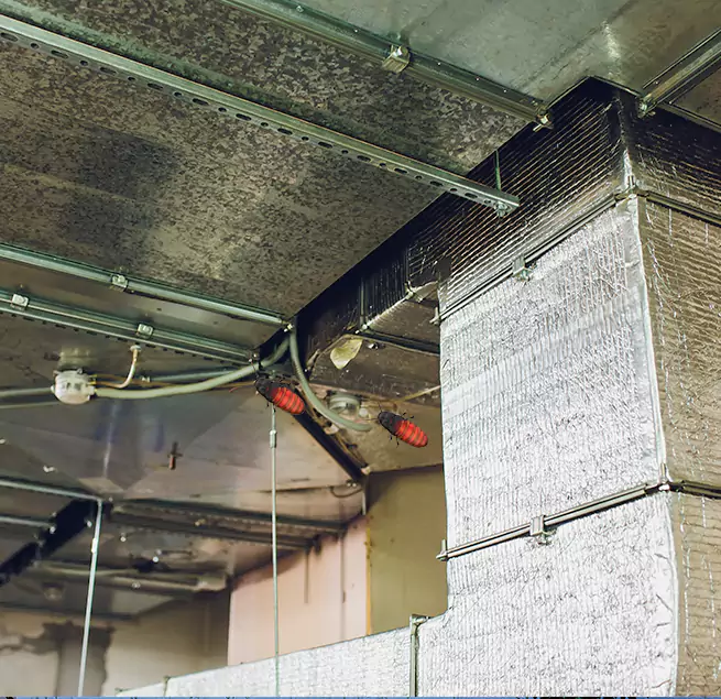 Why Homeowners & Businesses Trust Us East Lansing, MI?